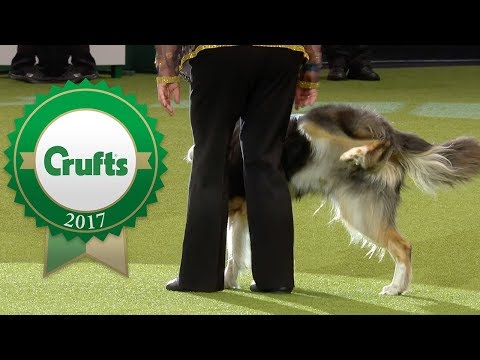 Oh Dear! Crufts 2017 Fails and Bloopers!