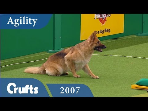 ABC Agility Final from Crufts 2007 | Crufts Classics