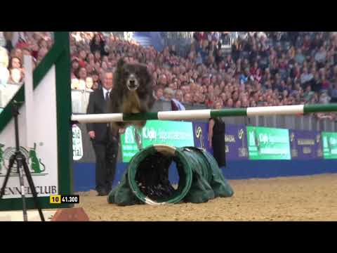 The Kennel Club ABC Dog Jumping Grand Prix and Dog Agility Final at Olympia 2018