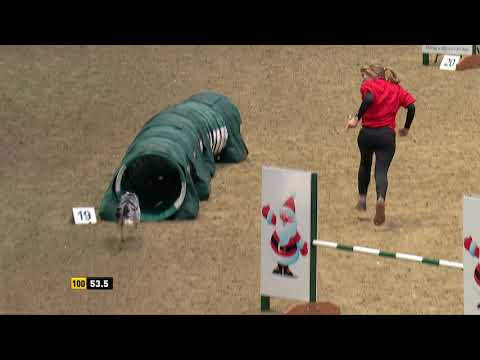 The Kennel Club Large Novice Dog Agility and Jumping Grand Prix at Olympia 2018