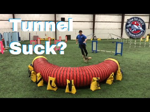 Tunnel Threadle Game – Dog Agility