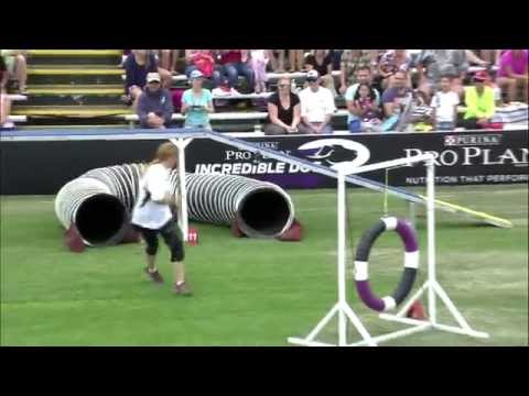 Large Dog Agility 1st Place – Incredible Dog Challenge 2015 Huntington Beach, CA