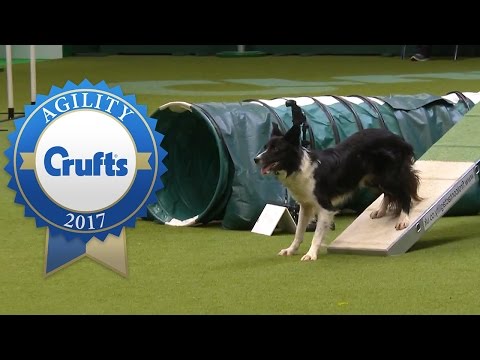 Agility Championship Final | Crufts 2017