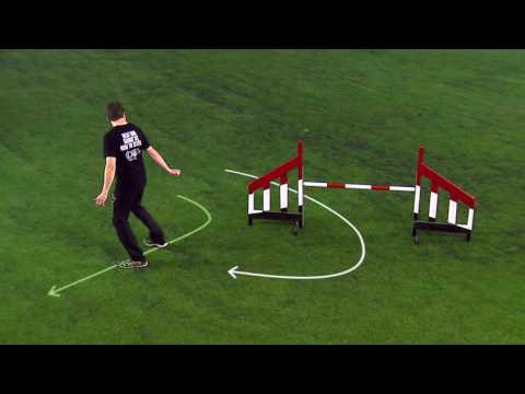 How To Move Your Feet In Dog Agility