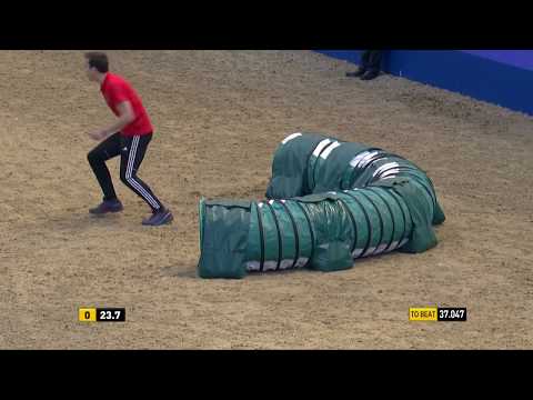 The Kennel Club Large Senior Dog Agility and Jumping Grand Prix at Olympia 2018