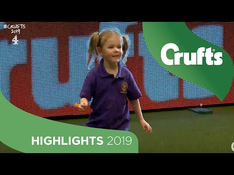 5-Year-Old Izzy Keeps Her Cool As Milo The Dog Takes A Wander | Crufts 2019
