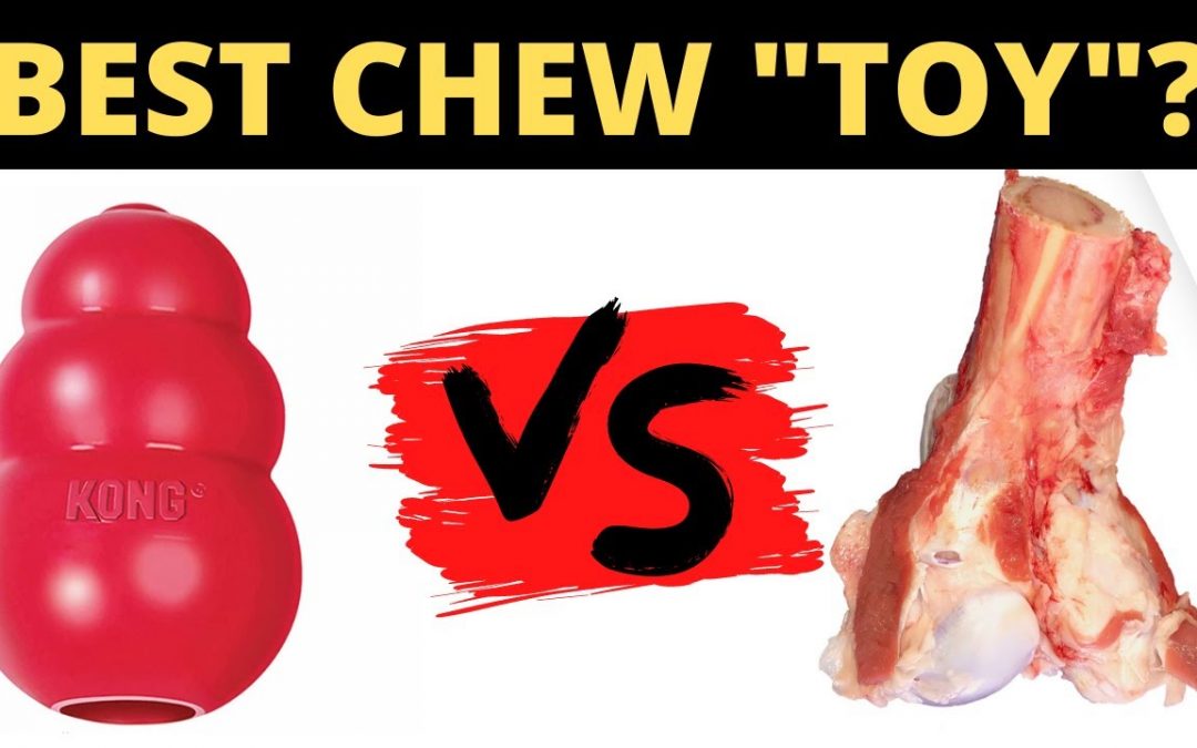 I rank the best chew “toys” for your dog.