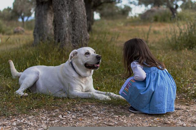 Having A Dog Do What Is Right Is Essential