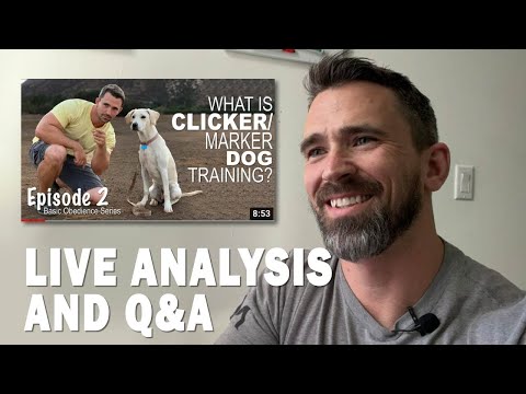 Clicker/Marker Dog Training Analysis and Q&A