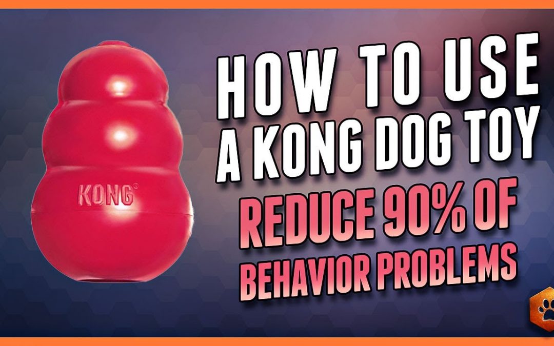 How to Use a Kong Dog Toy – 90% of Behavior Problems Reduced