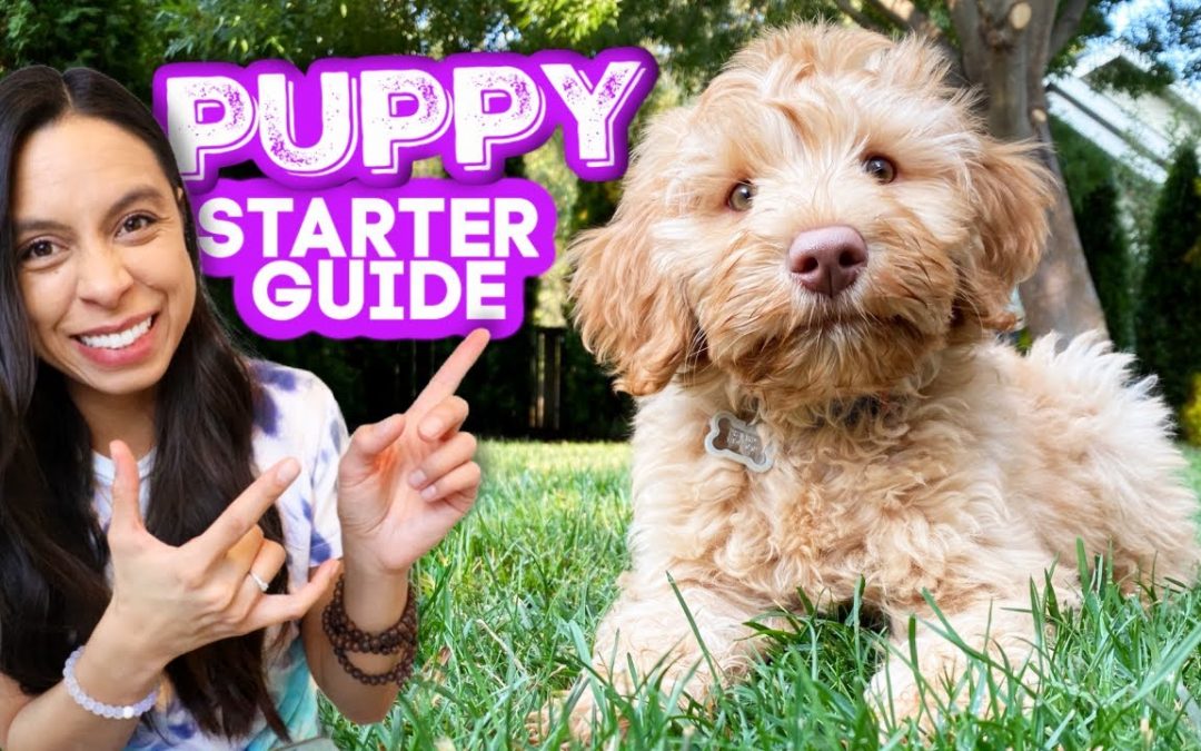 FIRST DAYS WITH NEW PUPPY! 🐶 Everything you need to know and do