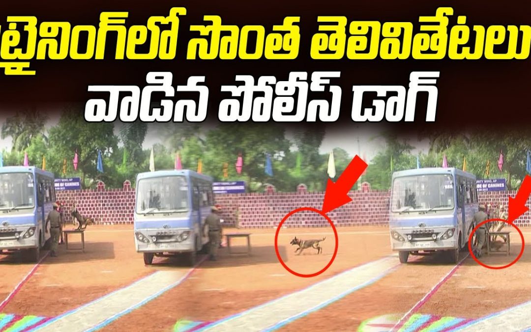 LIVE: ట్రైనింగ్ లో సొంత తెలివితేటలు వాడిన పోలీస్ డాగ్ || Police Dog Training || ABN Telugu