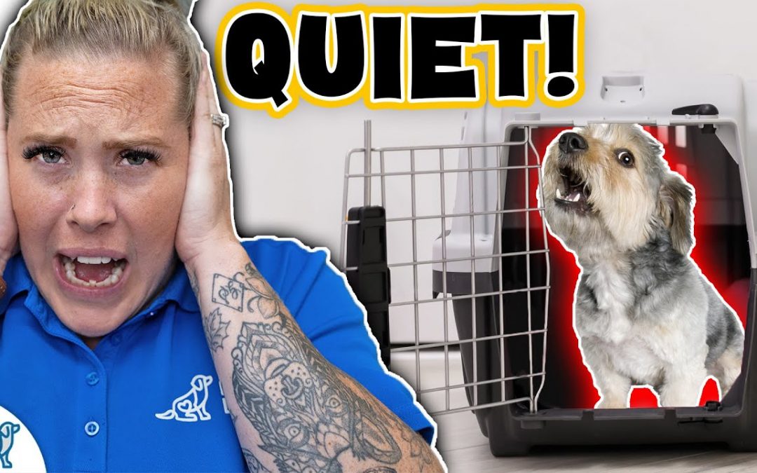 Stop Your Dog From Crying In Their Crate