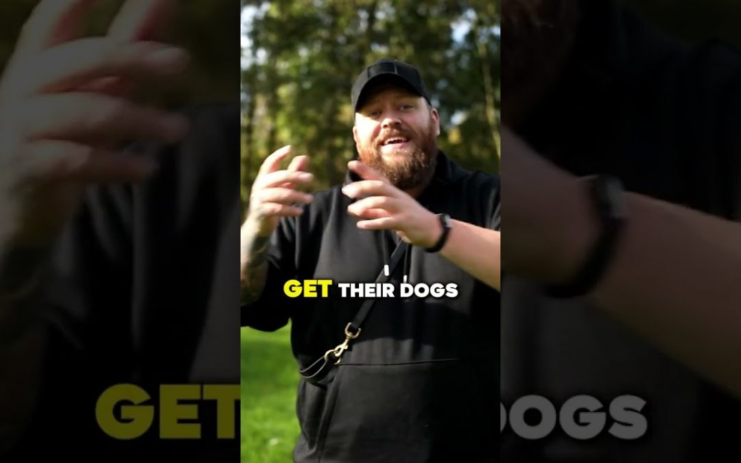 This Quick Dog Training Tip Is So Important