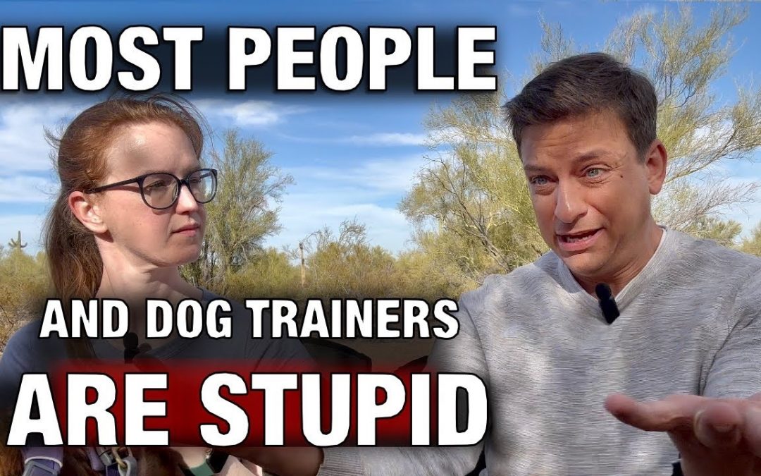 Most People Are on MOUNT STUPID When It Comes to Training Dogs.