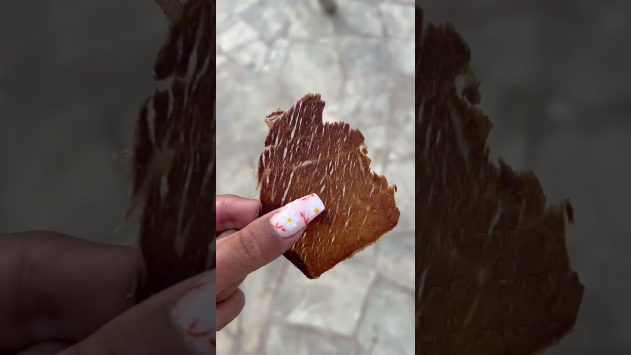 Trying crispy beef jerky in Hawaii Jerky Dog Master Dog Agility