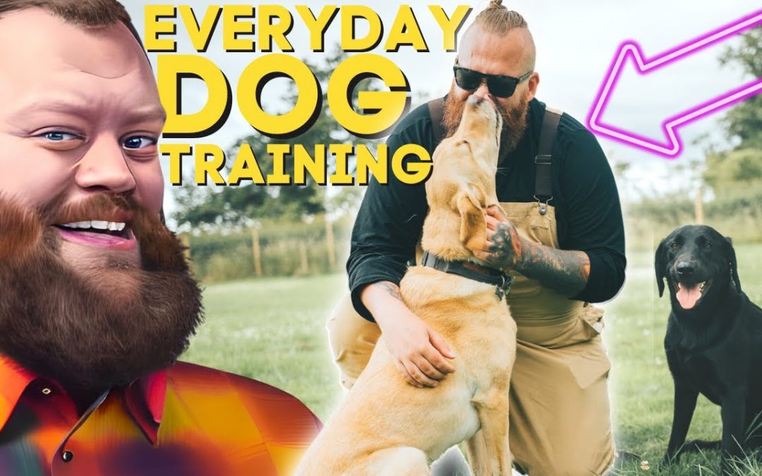 6 Dog Training Exercises You Should Do EVERY DAY Starting NOW!