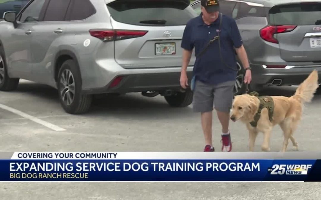 Big Dog Ranch Rescue expanding service dog training program for veterans