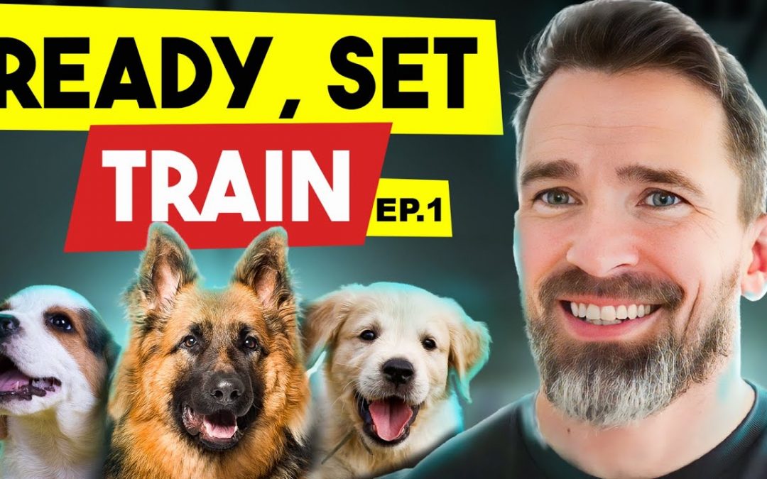 Unlock Your Dog’s Potential: a New training show by Nate Schoemer