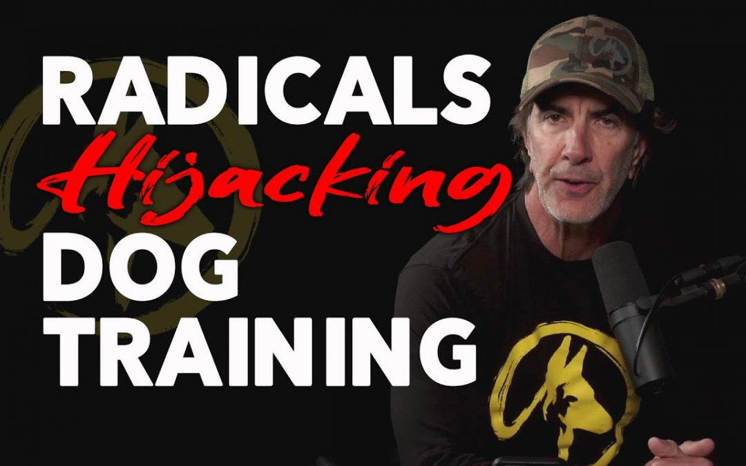 Radicals are Hijacking Dog Training – The Purely Positive LIE!