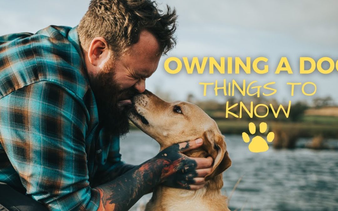Things To Know Before Getting A Dog