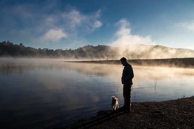 These Steps Will Help You Train Your Dog