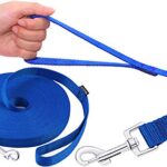 Amagood Dogpuppy Obedience Recall Training Agility Lead 15 Ft 20 Ft 30 Ft 50 Ft Long Leash For Dog Trainingtie Outplaysafetycamping 20 Feet Blue 0 0