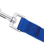 Amagood Dogpuppy Obedience Recall Training Agility Lead 15 Ft 20 Ft 30 Ft 50 Ft Long Leash For Dog Trainingtie Outplaysafetycamping 20 Feet Blue 0 2