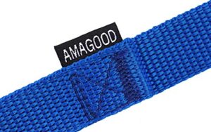 Amagood Dogpuppy Obedience Recall Training Agility Lead 15 Ft 20 Ft 30 Ft 50 Ft Long Leash For Dog Trainingtie Outplaysafetycamping 20 Feet Blue 0 4