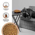 Bixbi Rawbble Dry Dog Food Chicken 24 Lbs Usa Made With Fresh Meat No Meat Meal No Corn Soy Or Wheat Freeze Dried Raw Coated Dog Food Minimally Processed For Superior Digestibility 0 1
