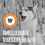 Bixbi Rawbble Dry Dog Food Chicken 24 Lbs Usa Made With Fresh Meat No Meat Meal No Corn Soy Or Wheat Freeze Dried Raw Coated Dog Food Minimally Processed For Superior Digestibility 0 2