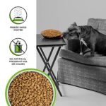Bixbi Rawbble Dry Dog Food Pork 24 Lbs Usa Made With Fresh Meat No Meat Meal No Corn Soy Or Wheat Freeze Dried Raw Coated Dog Food Minimally Processed For Superior Digestibility 0 1