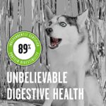 Bixbi Rawbble Dry Dog Food Pork 24 Lbs Usa Made With Fresh Meat No Meat Meal No Corn Soy Or Wheat Freeze Dried Raw Coated Dog Food Minimally Processed For Superior Digestibility 0 2