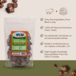 Bison Cubes Pure Bison Dog Treats All Natural Treats For Dogs Vet Approved Single Ingredient Grain Free Healthy Nutritious Real Meat Low Calorie Treats For Dogs Bison Lung 5oz 0 0
