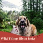 Bison Jerky For Dogs Protein Packed Pasture Raised Grass Fed Bison Jerky Dog Treats Healthy Dog Treats Wild Things 4 Ounce Bag 0 3