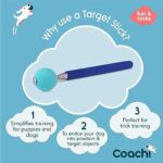 Company Of Animals Coachi Target Stick Telescopic Design With Large Ball For Target Dog Accessory For Clicker Agility Training Teach Commands And Tricks 0 1