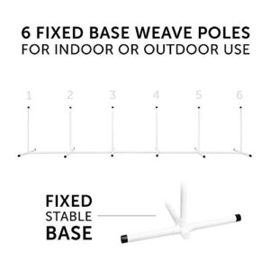 Complete Starter Agility Set For Dogs 5 Piece Dog Agility Kit Agility Jump Tire Jump Weave Poles 10 Tunnel With Sandbags Pause Box 0 4