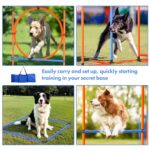 Dog Agility Course Backyard Set Dog Agility Training Equipment Indooroutdoor Dog Obstacle Course Kit Dog Tunnel Adjustable Hurdles Jump Ring Weave Poles Pause Box Dog Toys And Storage Bag 0 1