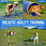 Dog Agility Equipment Portable Dog Agility Course Backyard Set With 9ft Dog Tunnel Weave Poles Hoop Dog Jumps Collapsible Water Bowl More Dog Training Kit For Indoor Outdoor 0 1