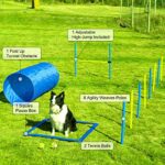 Dog Agility Training Equipment Dog Obstacle Course Includes Dog Jump Hurdle Dog Tunnel Pause Box Weave Poles With 2 Carry Bags Pet Jumping Starter Kit For Jumping Practice 0 0
