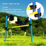 Dog Agility Training Equipment Dog Obstacle Course Includes Dog Jump Hurdle Dog Tunnel Pause Box Weave Poles With 2 Carry Bags Pet Jumping Starter Kit For Jumping Practice 0 1