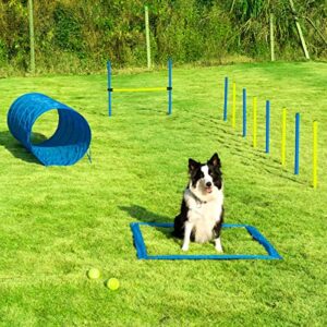 Dog Agility Training Equipment Dog Obstacle Course Includes Dog Jump Hurdle Dog Tunnel Pause Box Weave Poles With 2 Carry Bags Pet Jumping Starter Kit For Jumping Practice 0