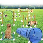Dog Agility Training Equipment Obstacle Agility Training Starter Kit For Doggie Including Tunnel 13 Weave Poles Adjustable Hurdle Jump Ring Pause Box And Carrying Bagblue 0 2