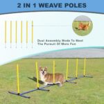 Dog Agility Training Equipment Set Outdoorindoor Deluxe Obstacle Course Starter Kit Wtunnel Adjustable Hurdle Jumping Ring 6 Weave Poles Pause Box Carry Bag 0 3