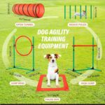 Dog Training Kit Dog Obstacle Course Outdoor Games Sports Gifts Tunnel Hurdle Jump Ring Weave Poles Set 0 1