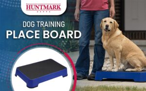 Dog Training Place Board Durable Hunting Dog Training Platform Non Skid Surface Nonslip Feet Stackable Portable Dog Agility Platform Modern Dog Training Equipment Dark Blue 0 1