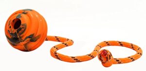 Durable Natural Rubber Ball On A Rope Perfect Dog Training Exercise And Reward Tool Medium Size Dog Toy For Fetch Catch Throw And Tug War Plays Happy Playtime Guaranteed 0 0