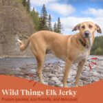 Elk Jerky For Dogs Protein Packed Pasture Raised Grass Fed Elk Jerky Dog Treats Healthy Dog Treats Wild Things 4 Ounce Bag 0 3