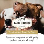 Farm Hounds Pork Kidney Jerky Treats For Dogs Premium Dried Dog Treats High Protein Training Treat For Small Large Dogs Natural Healthy Dog Treats Made In Usa Pork Kidney 4oz 0 5
