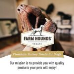 Farm Hounds Turkey Gizzards Jerky Treats For Dogs Premium Dried Treats High Protein Training Treat For Small Large Dogs Natural Healthy Dog Treats Made In Usa Turkey 4oz 0 5